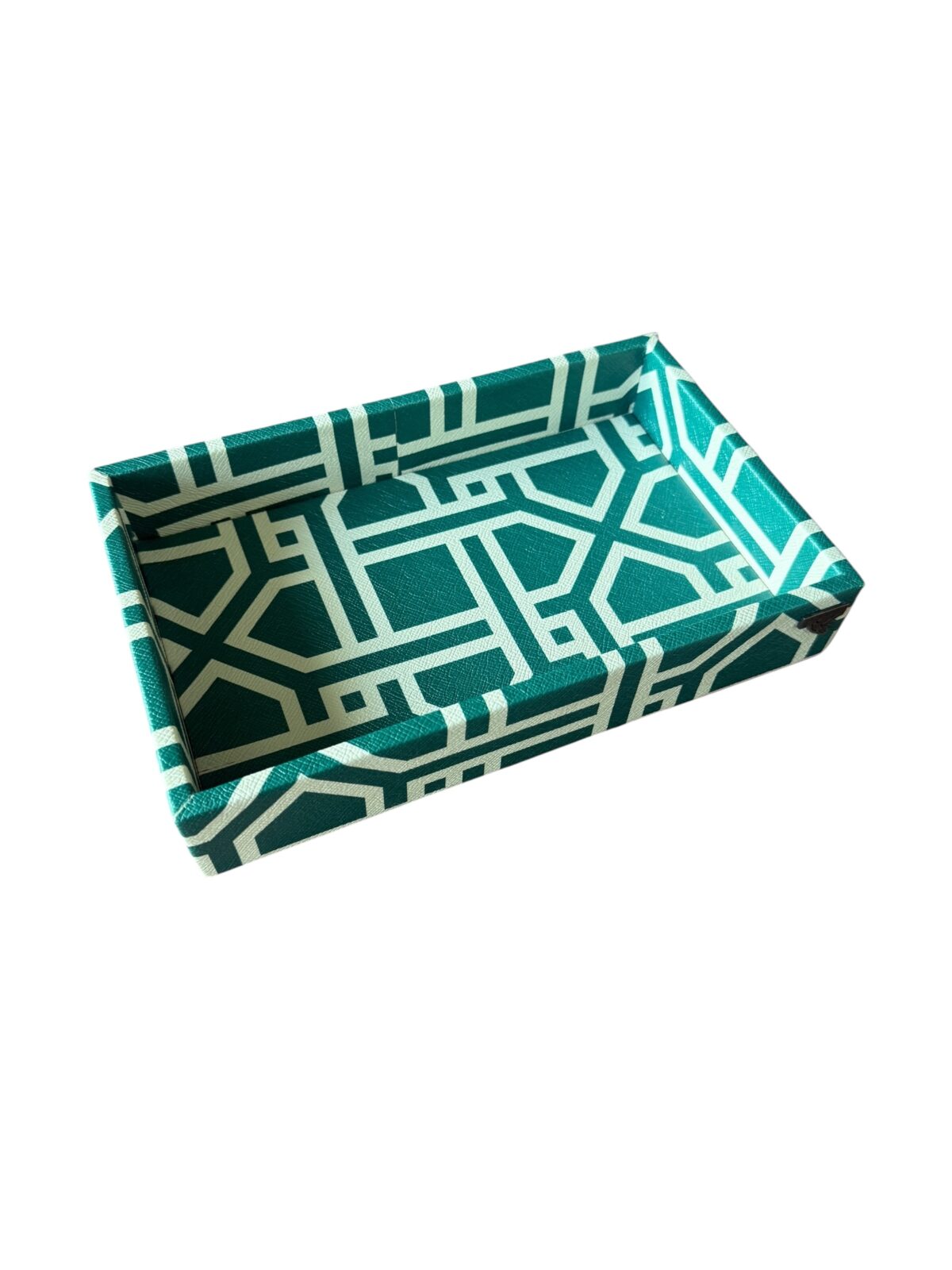 Charola rectangular buró, diseño kiwi - Image 2